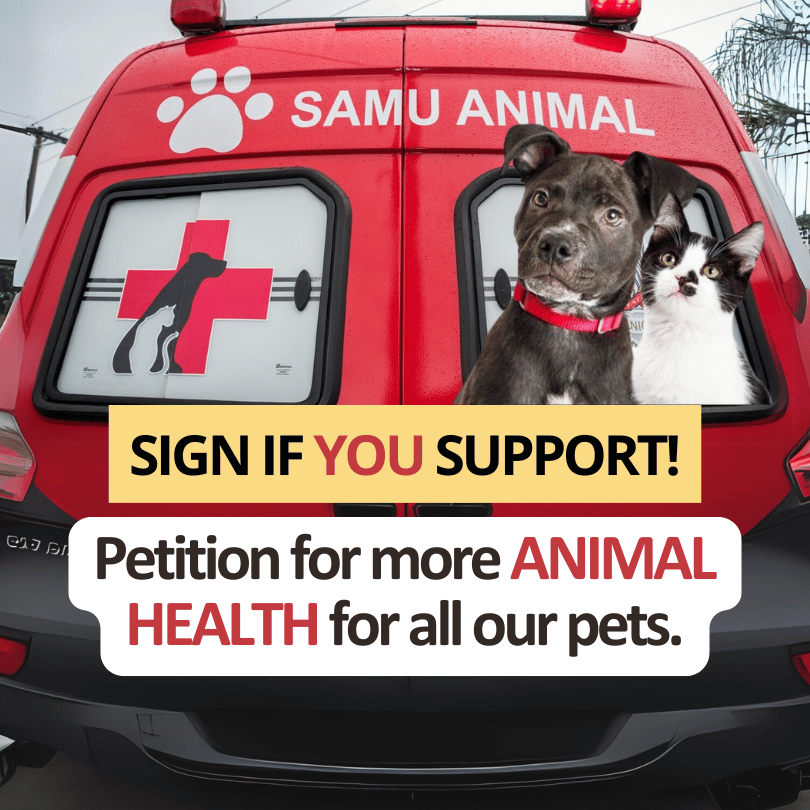 Affordable Veterinary Care for All Pets!